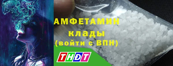 ГАЛЛЮЦИНОГЕННЫЕ ГРИБЫ Вязники